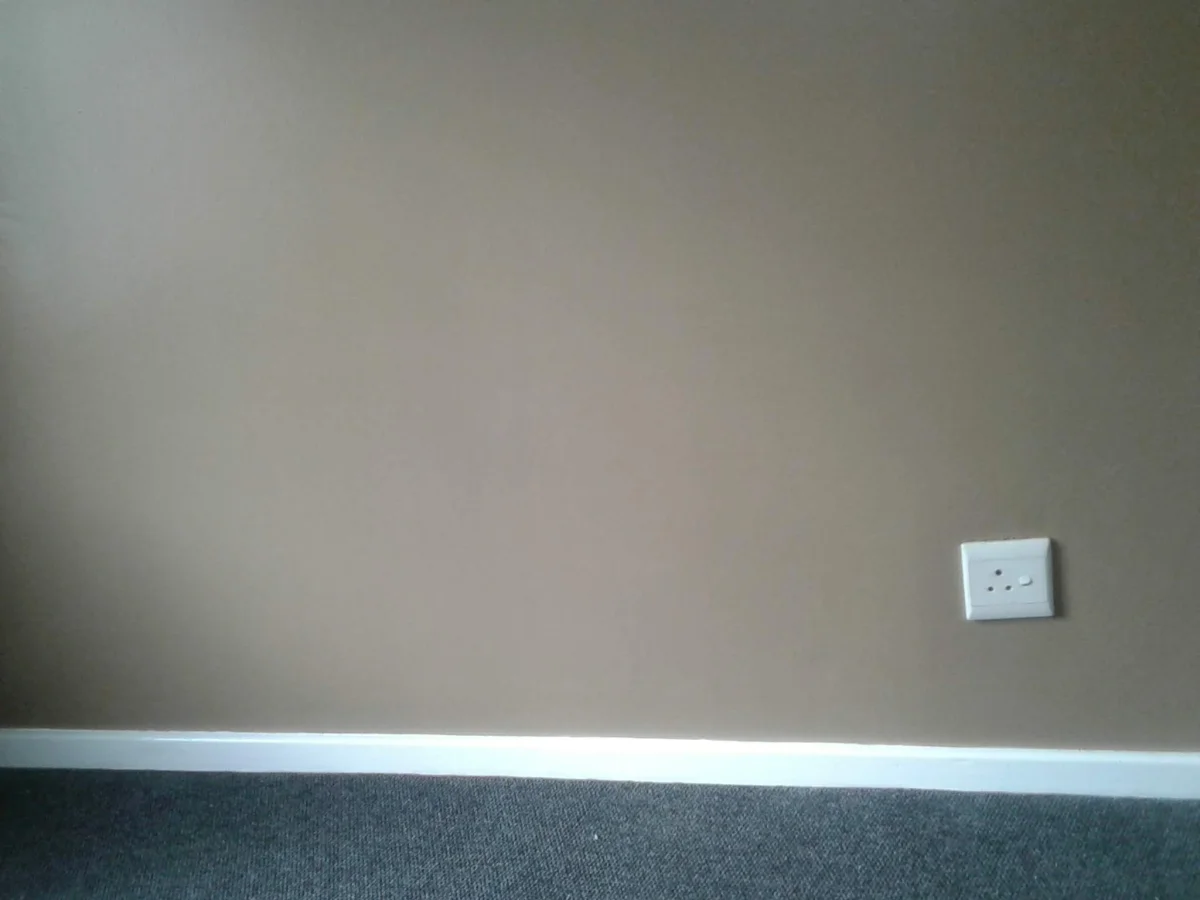 Interior and Exterior Painting